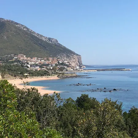 Stella Iun P2177 فيلة كالا غونوني