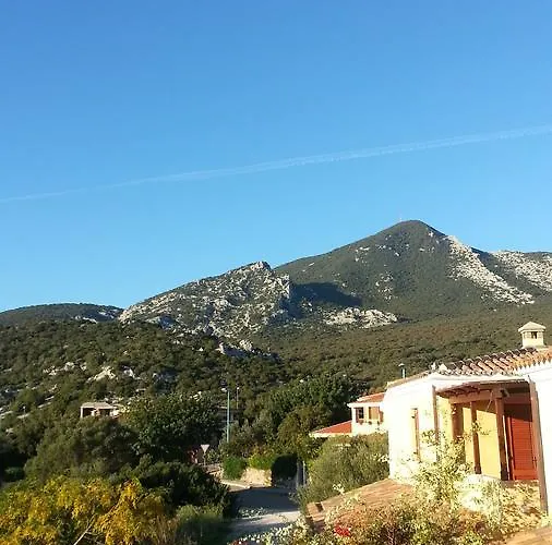 فيلة Stella Iun P2177 *