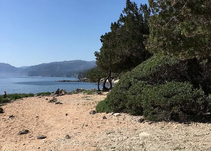 فيلة Stella Iun P2177