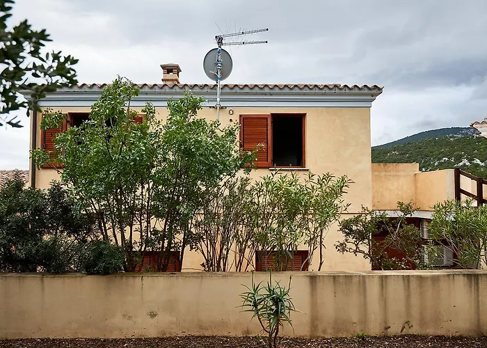 فيلة Stella Iun P2177 كالا غونوني