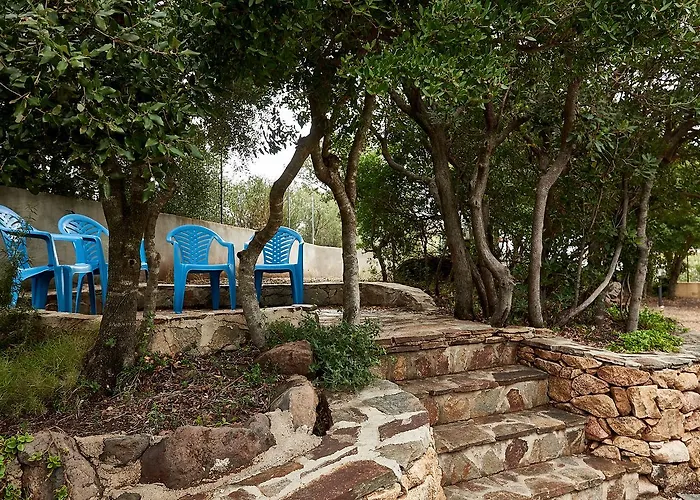 فيلة Stella Iun P2177 كالا غونوني