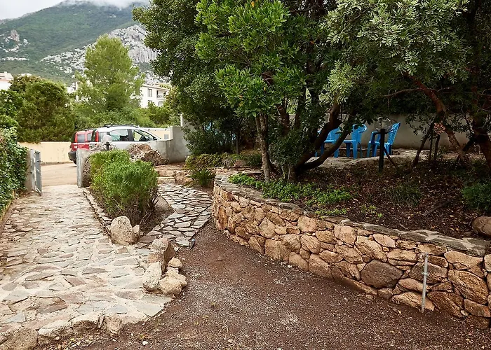 فيلة Stella Iun P2177 كالا غونوني